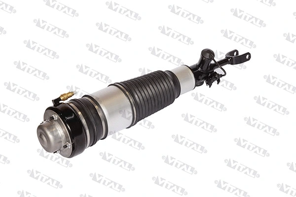 Air Suspension Strut (170013)