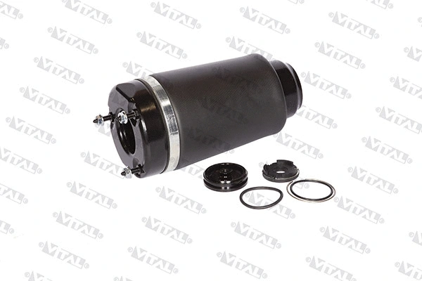Air Spring, suspension (750020)
