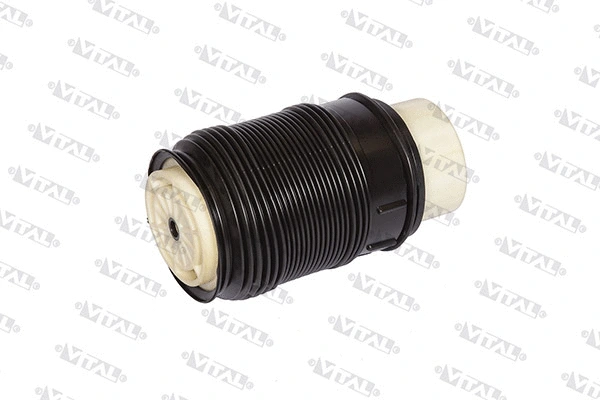 Air Spring, suspension (750181)