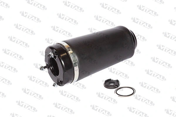 Air Spring, suspension (750210)