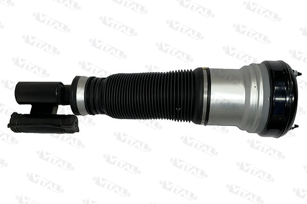Air Suspension Strut (170045)