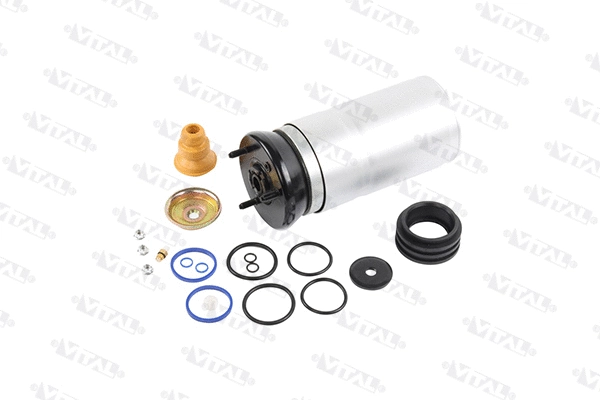 Air Spring, suspension (750390)