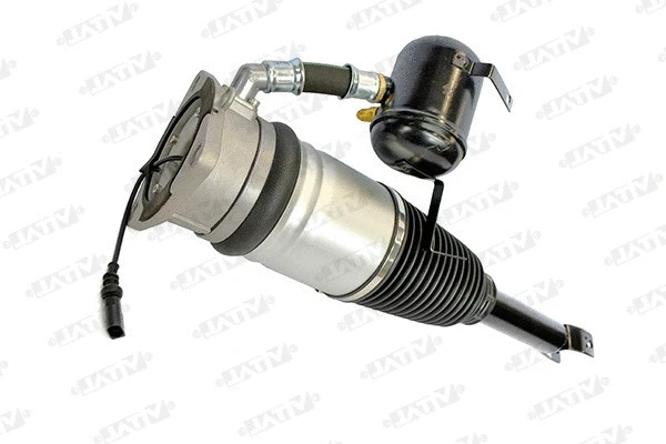 Air Suspension Strut (170024)