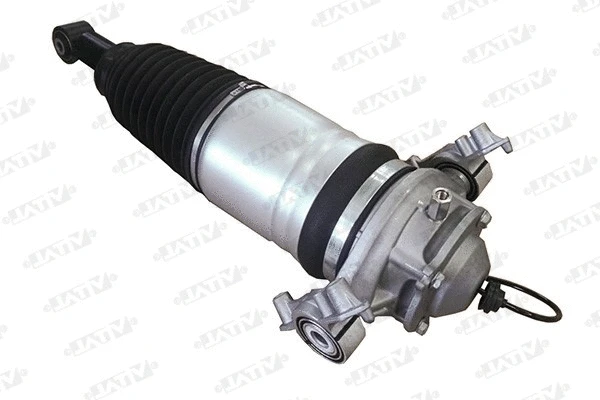 Air Suspension Strut (170028)
