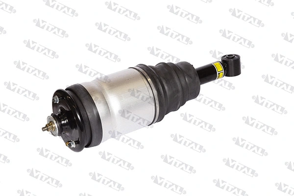 Air Suspension Strut (170007)