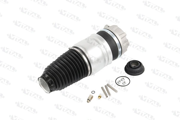 Air Spring, suspension (750482)
