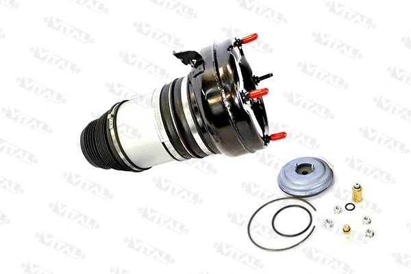 Air Spring, suspension (750380)