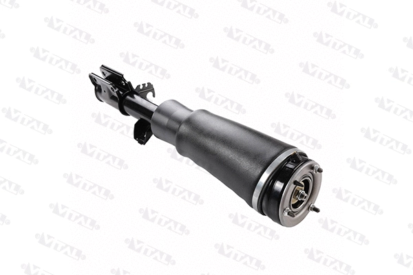 Air Suspension Strut (170054)