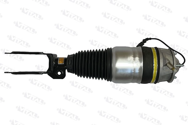 Air Suspension Strut (170030)