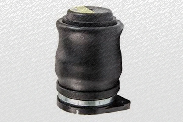 Air Spring, suspension (750310)