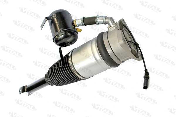Air Suspension Strut (170023)