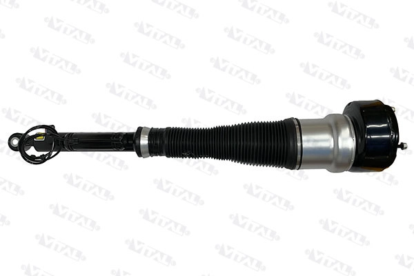 Air Suspension Strut