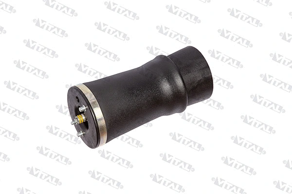 Air Spring, suspension (750112)