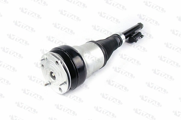 Air Suspension Strut (170037)