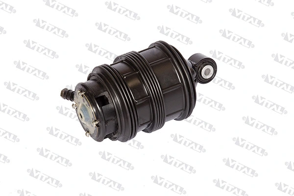 Air Spring, suspension (750160)