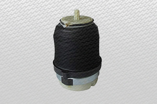 Air Spring, suspension (750300)