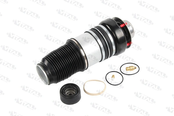 Air Spring, suspension (750370)