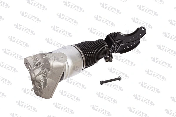 Air Suspension Strut (170015)