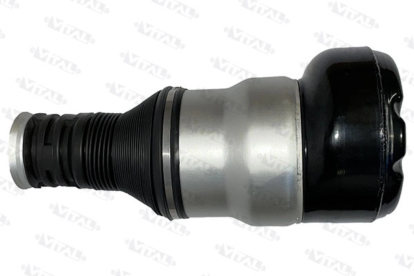 Air Spring, suspension (750562)