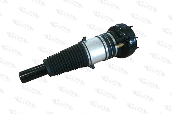 Air Suspension Strut (170025)