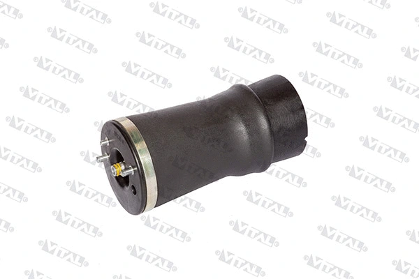 Air Spring, suspension (750032)