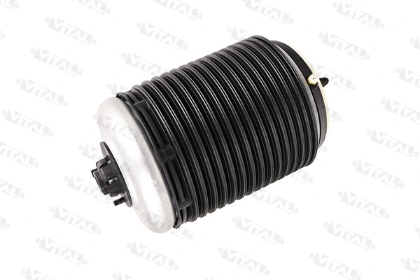 Air Spring, suspension (750422)