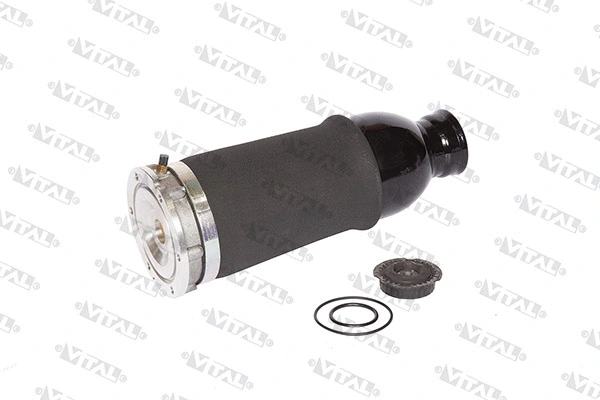 Air Spring, suspension (750090)