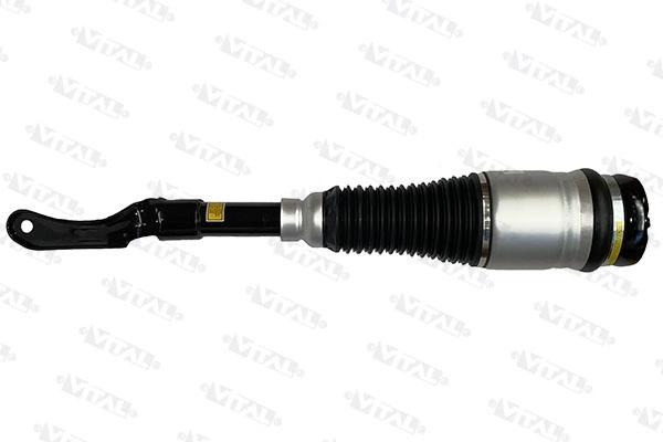 Air Suspension Strut