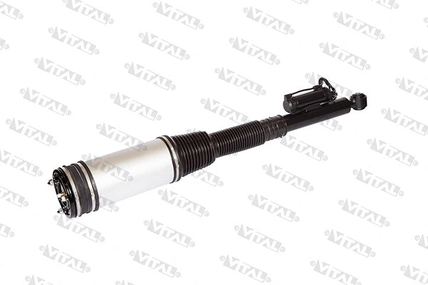 Air Suspension Strut (170018)