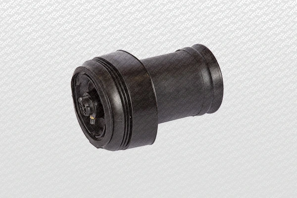Air Spring, suspension (750290)