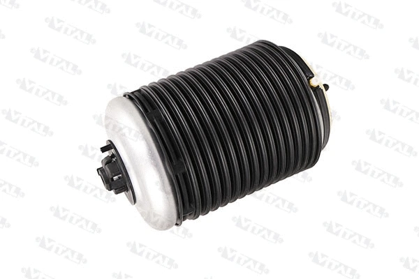Air Spring, suspension (750421)