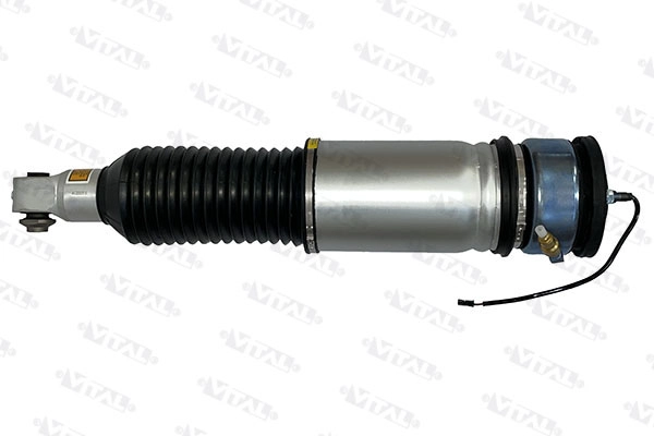 Air Suspension Strut (170034)