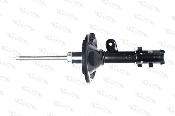 Shock Absorber (110909.1)