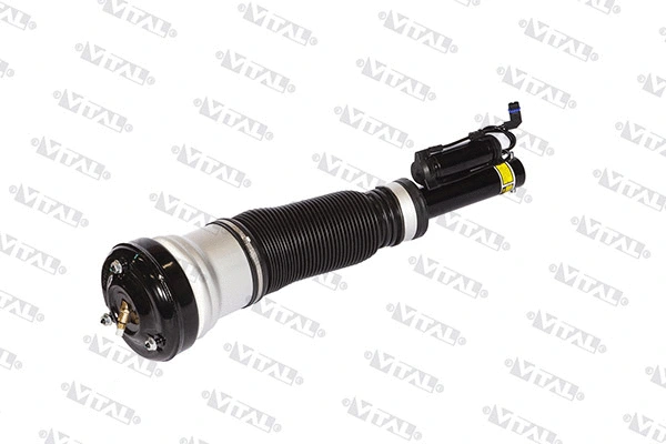 Air Suspension Strut (170008)