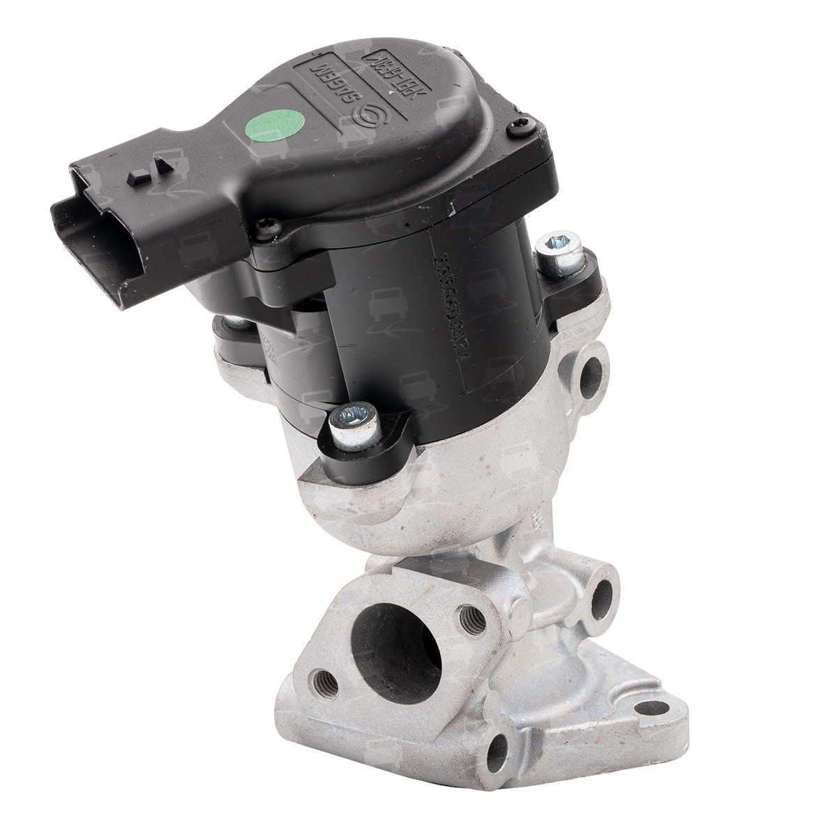 EGR Valve (EGR0079R)
