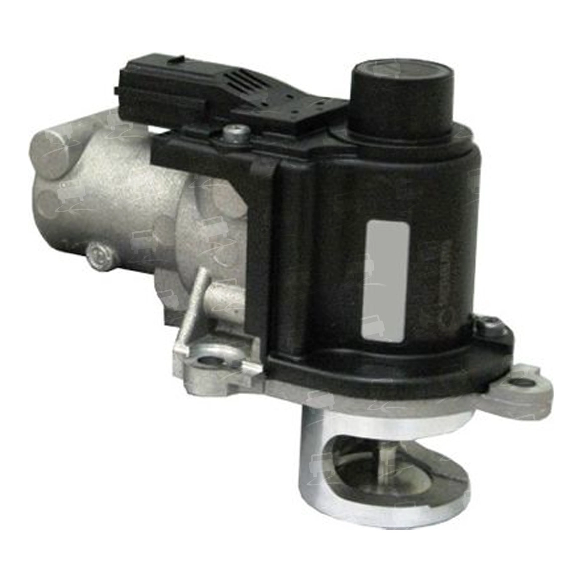 EGR Valve (EGR0266R)