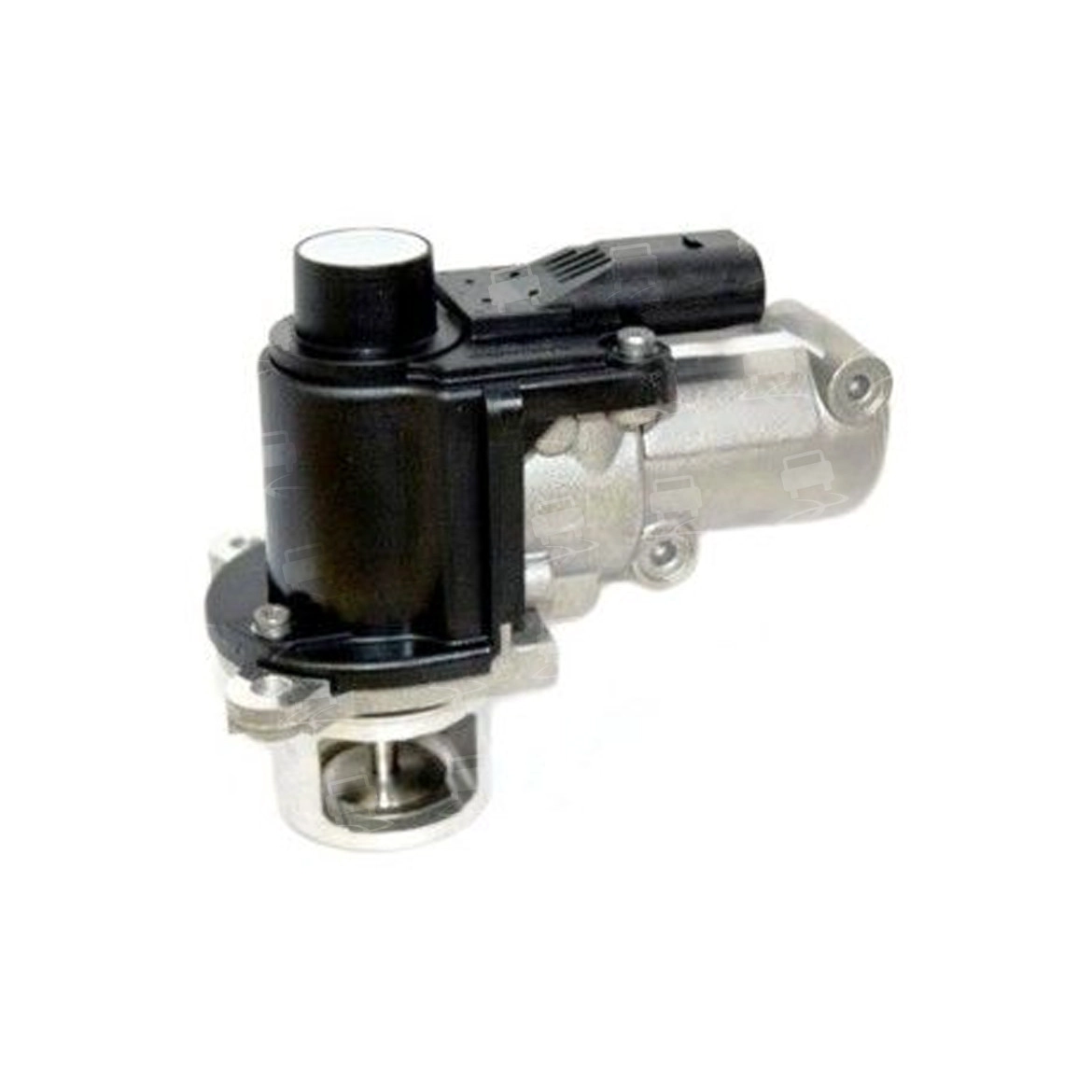 EGR Valve (EGR0291R)