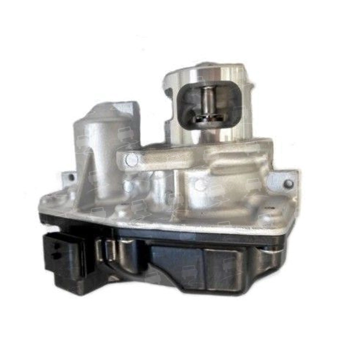 EGR Valve (EGR0313R)