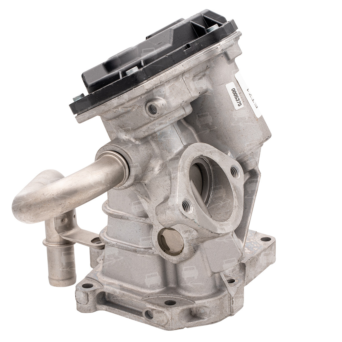 EGR Valve (EGR0296R)