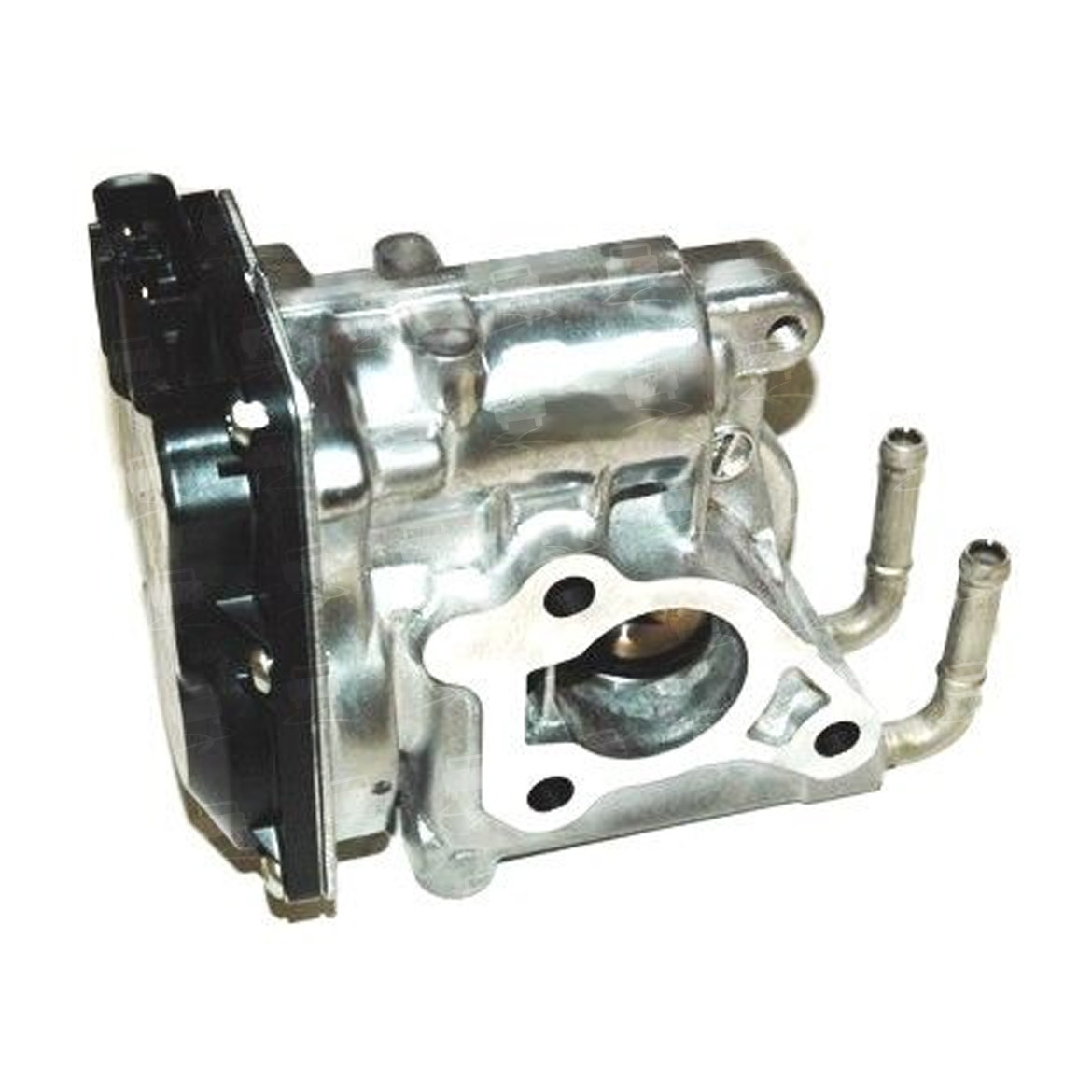 EGR Valve (EGR0281R)
