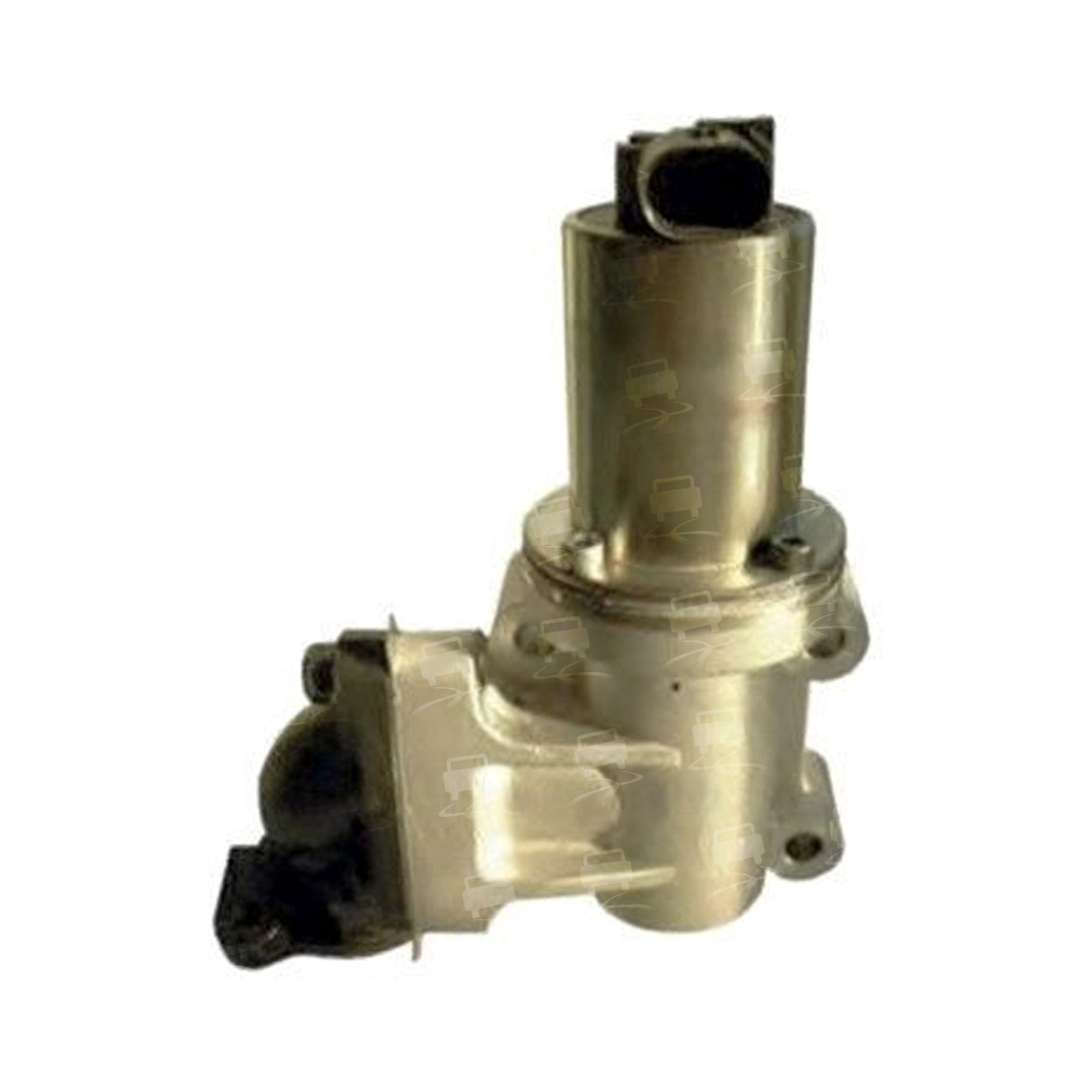 EGR Valve (EGR0171R)