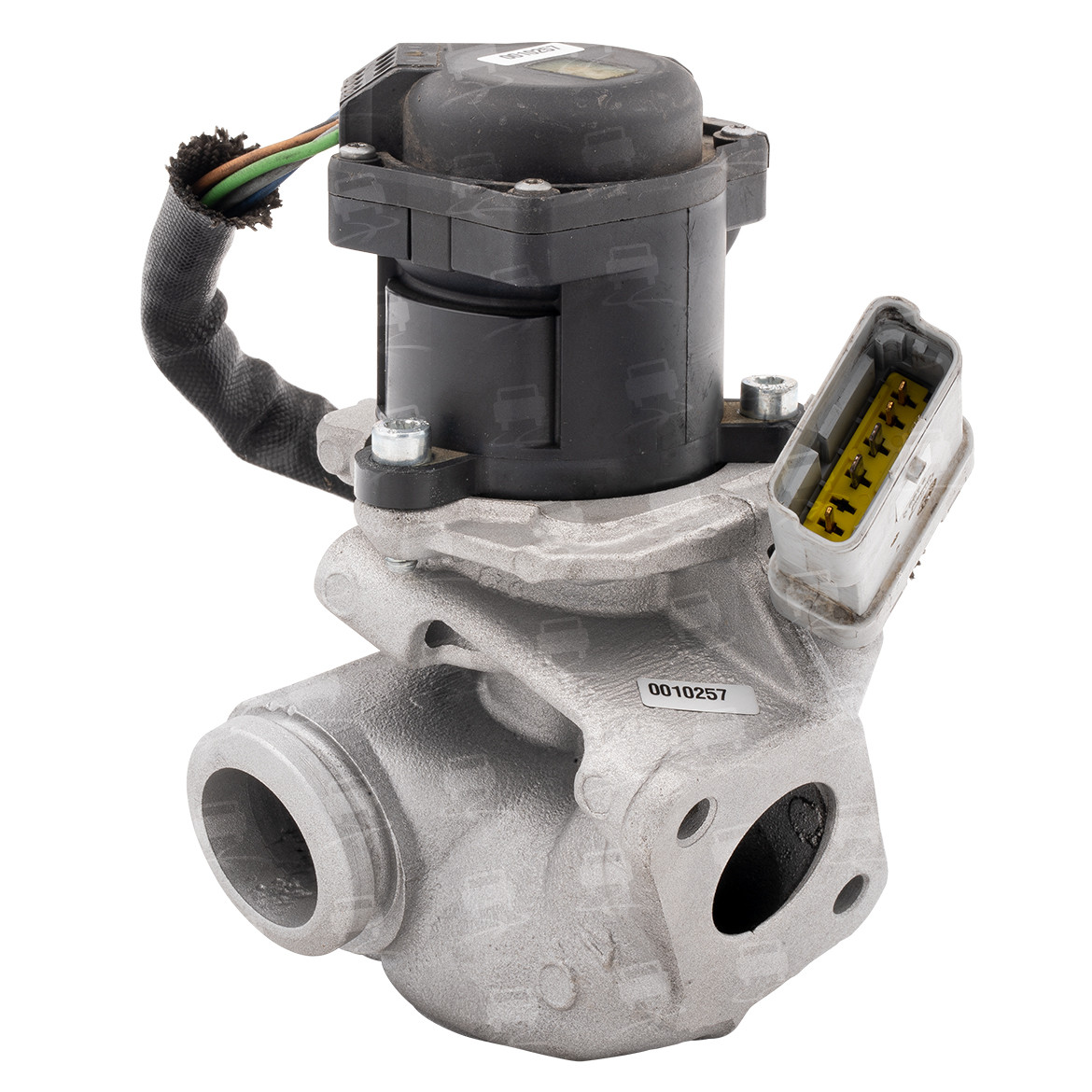 EGR Valve (EGR0020R)