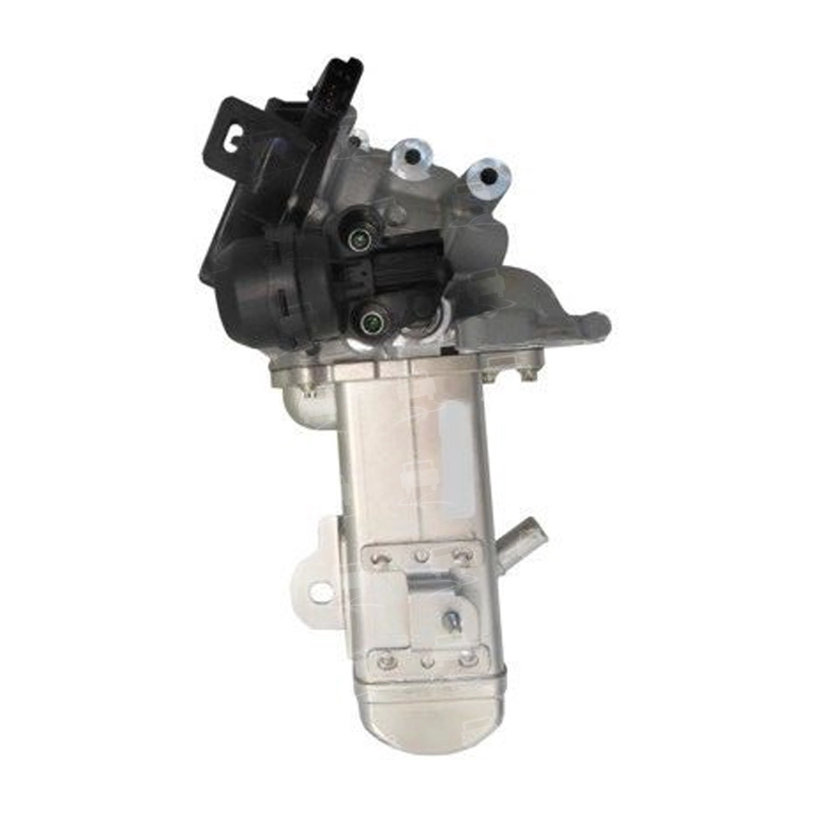 EGR Valve (EGR0275R)