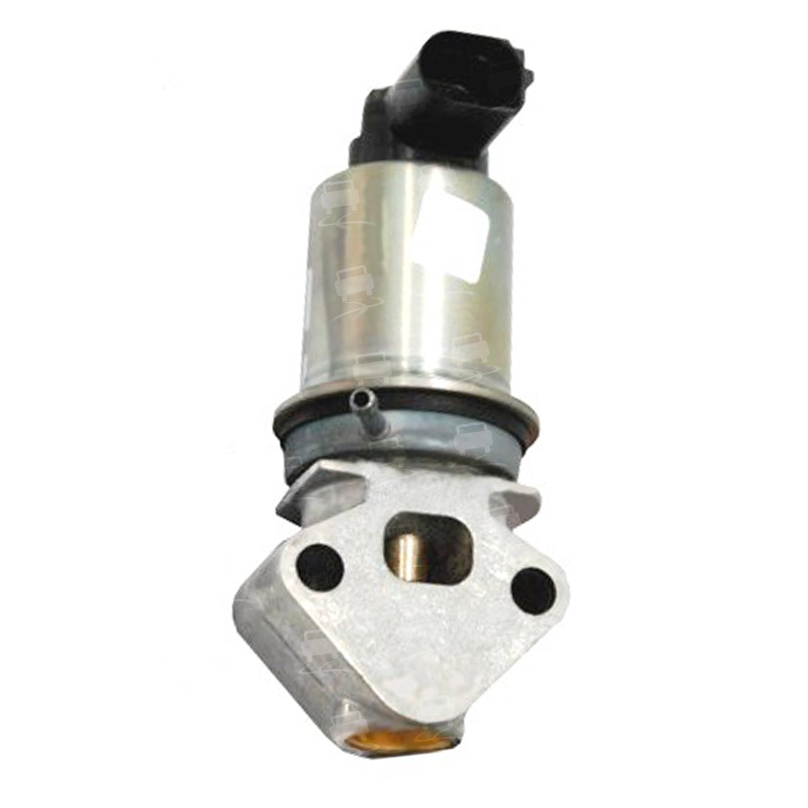 EGR Valve (EGR0219R)