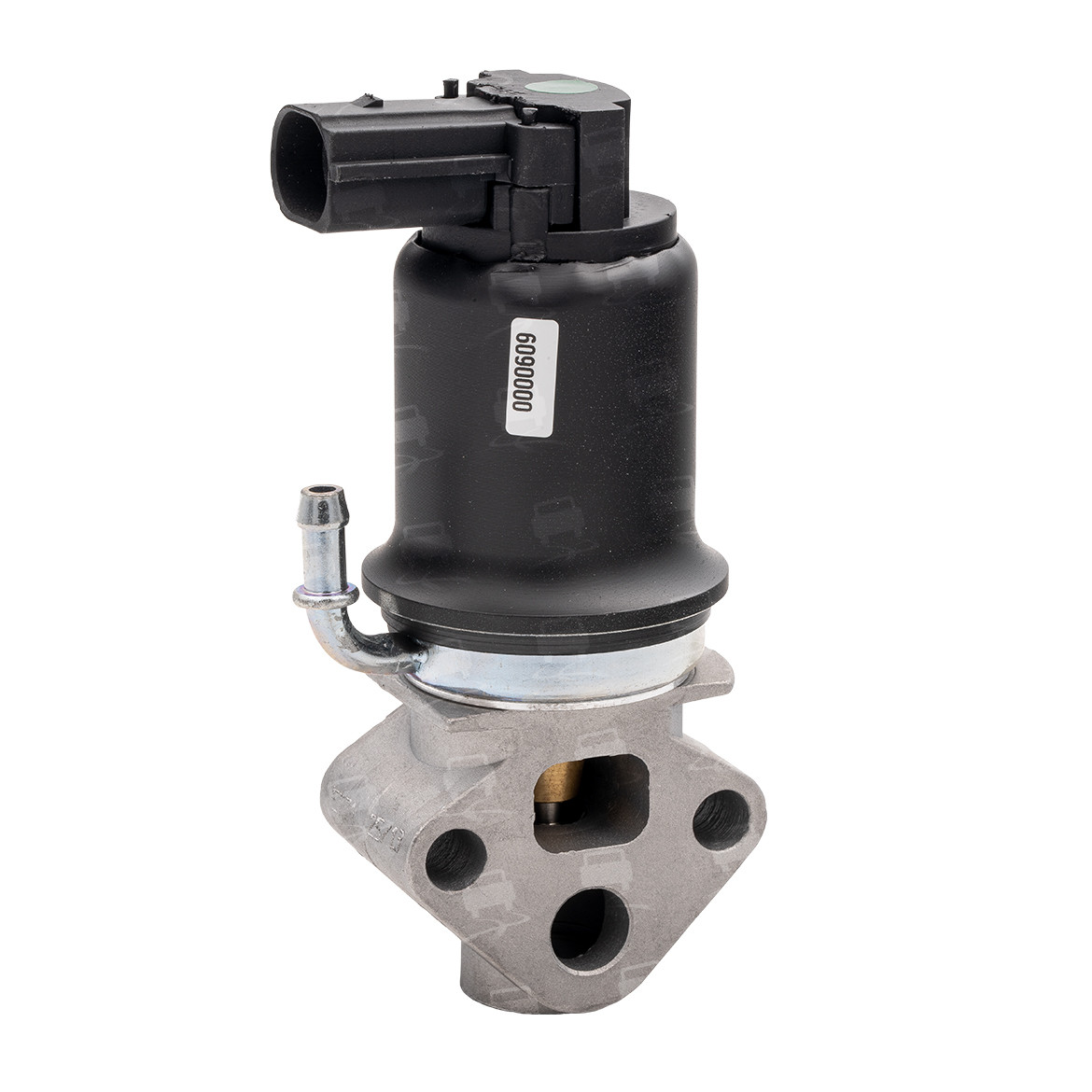 EGR Valve (EGR0108R)