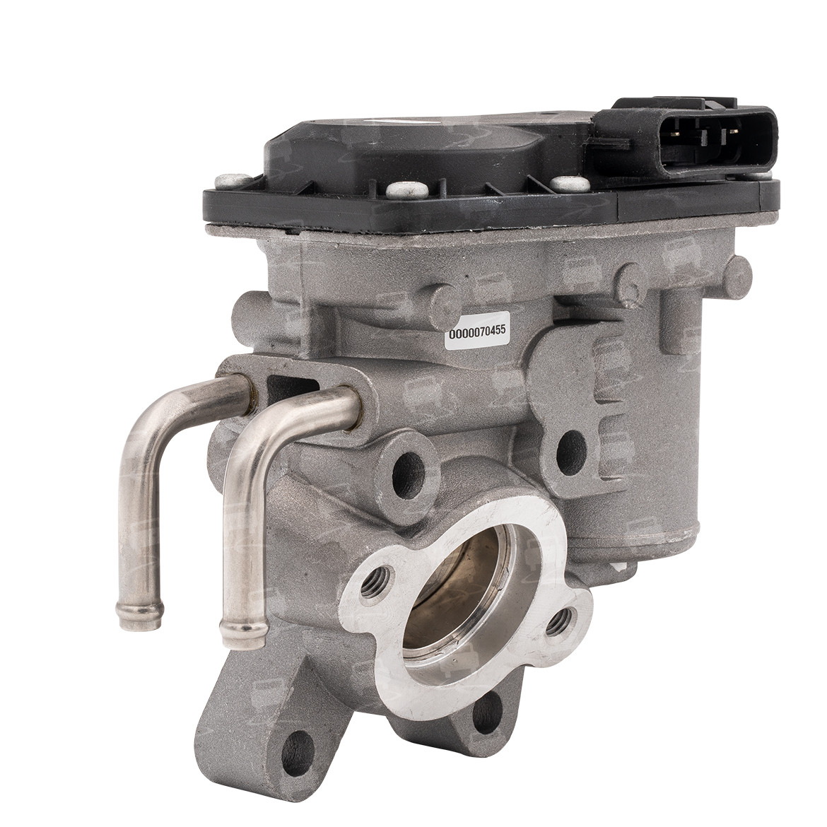 EGR Valve (EGR0080R)