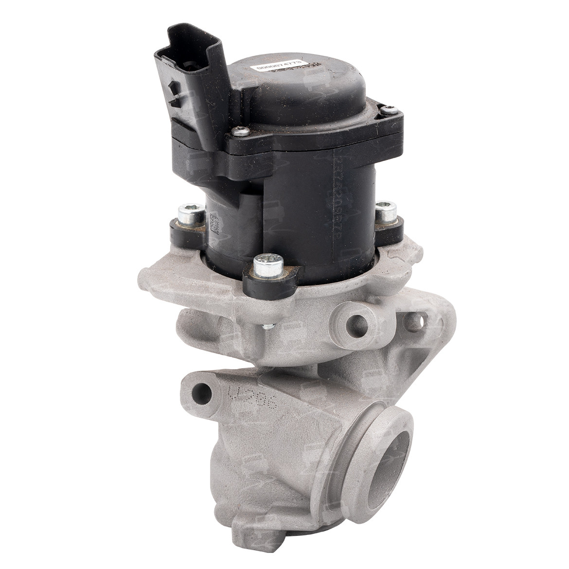 EGR Valve (EGR0032R)