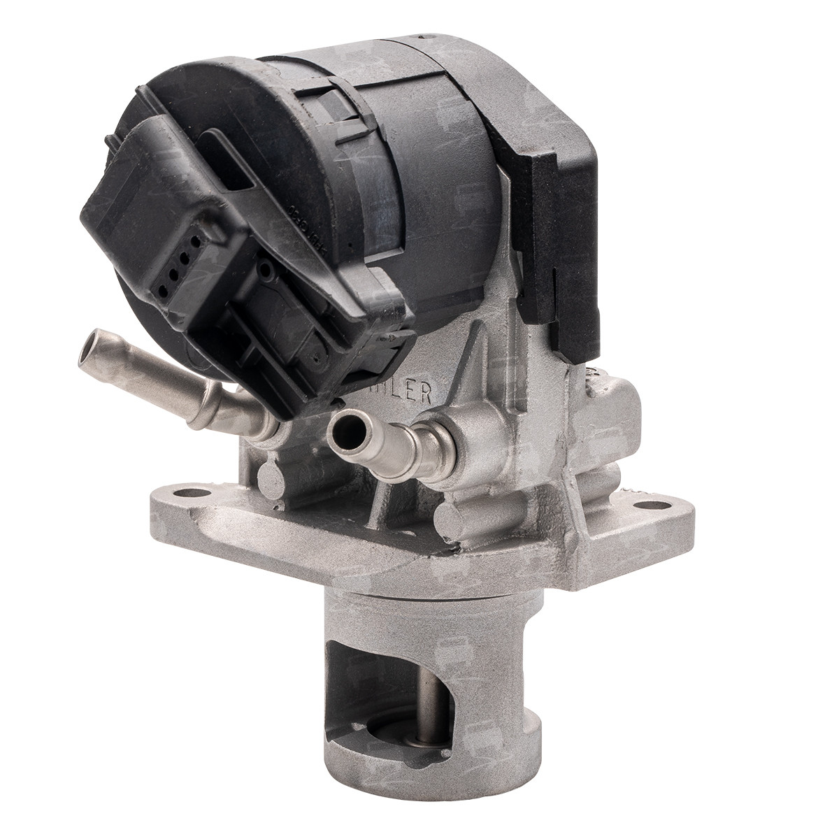 EGR Valve (EGR0237R)