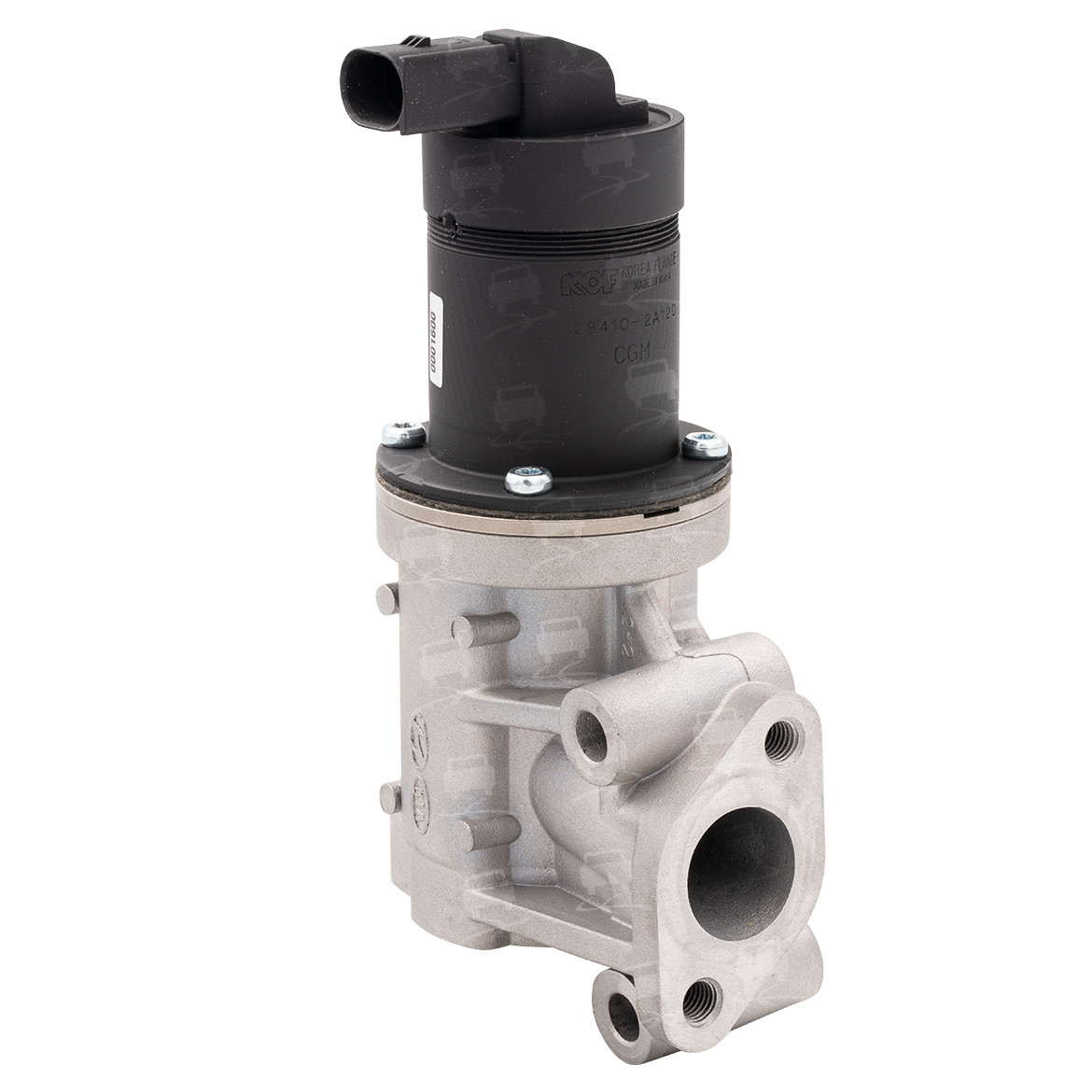 EGR Valve (EGR0191R)