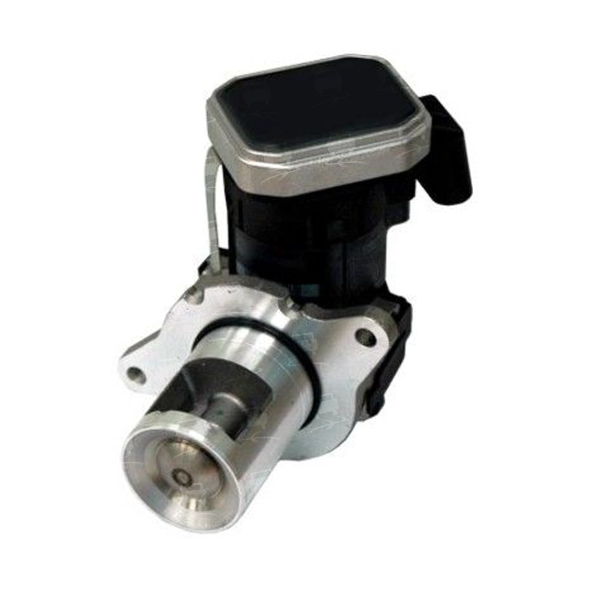 EGR Valve (EGR0207R)